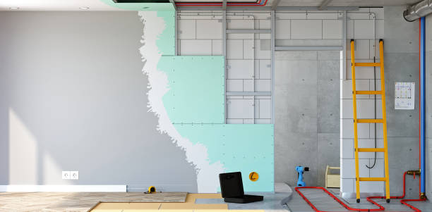 Best Black Mold Removal  in Clinton, OK